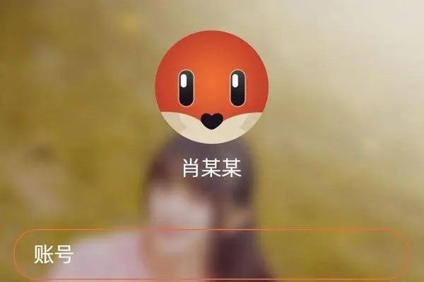 忘记手机号怎么登录探探？